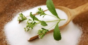 stevia (1)